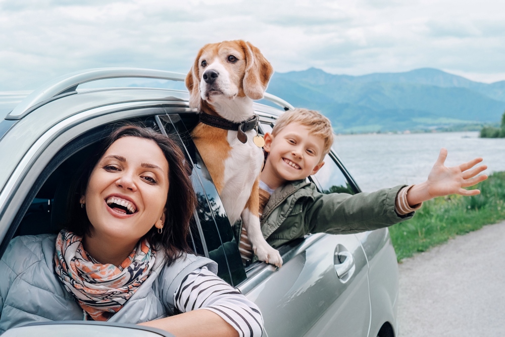 12 TIPS FOR TRAVELLING WITH YOUR PET - Family Parks