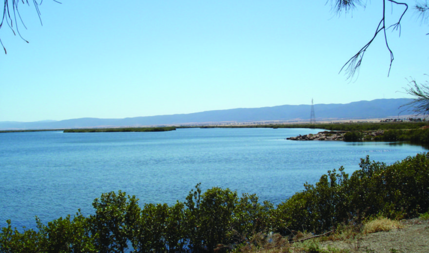 Port Pirie Beach Caravan Park Family Parks