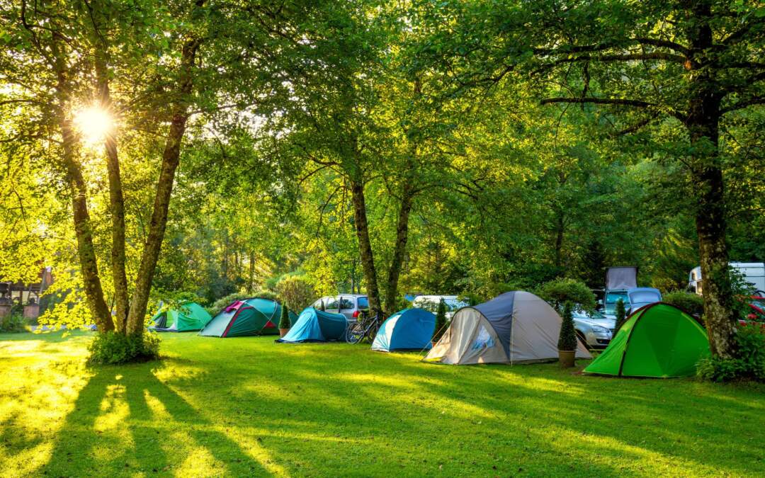 Why staying at a Family Park beats freedom camping