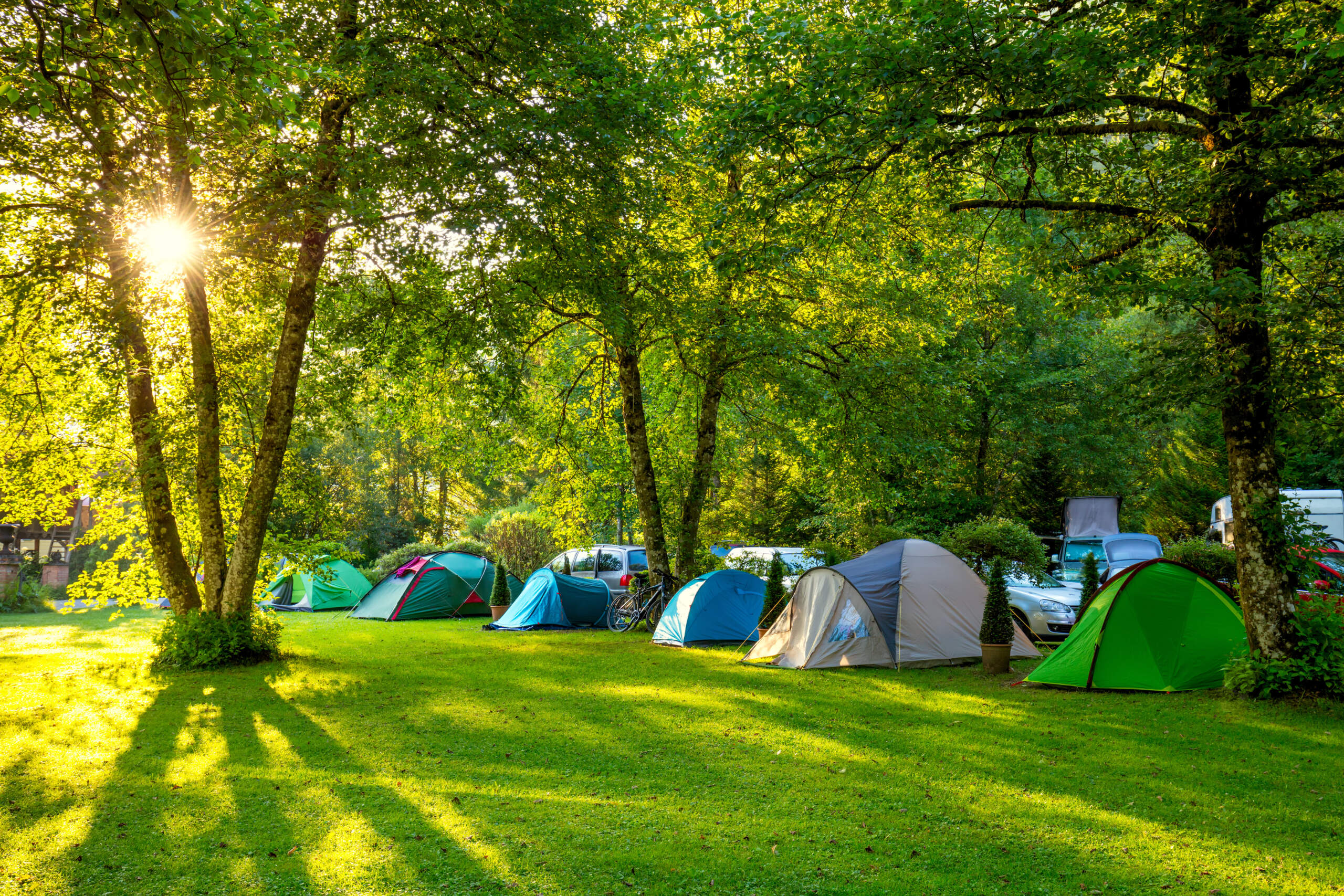 Top 5 Tips For Setting Up The Perfect Campsite Family Parks